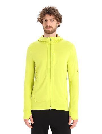 Shine / Clove Icebreaker Merino Quantum III Long Sleeve Zip Men's Hoodie | AU 1267VRWD